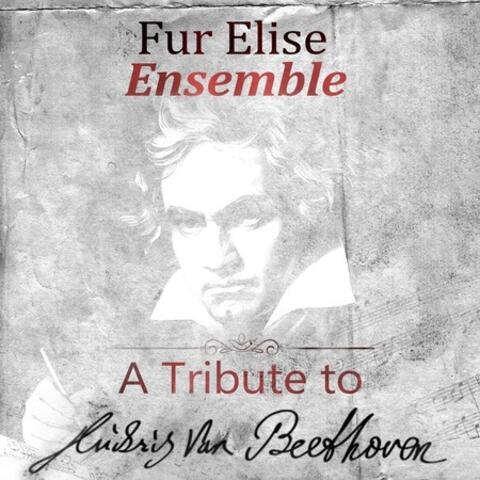 A Tribute To Ludwig van Beethoven