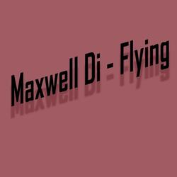 Flying