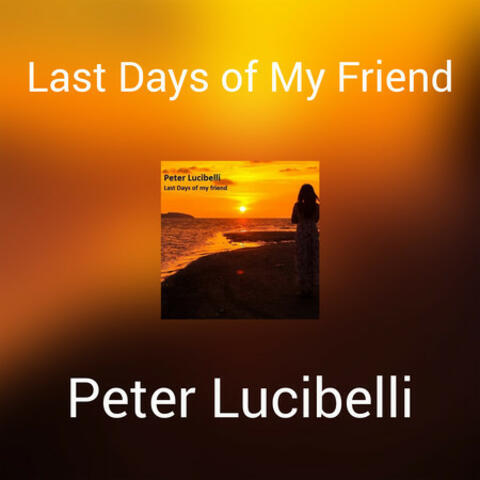 Last Days of My Friend