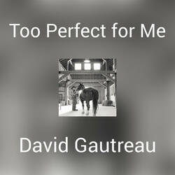 Too Perfect for Me