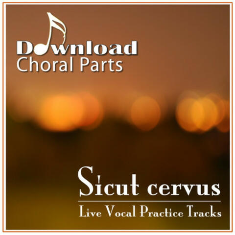 Sicut Cervus - Giovanni Pierluigi da Palestrina