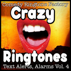 Ringy Ding Ding Dong Ringtone Text Alert Alarm
