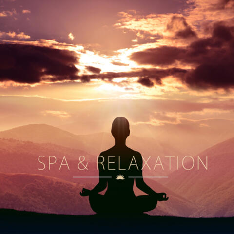 Estudar Música and Relaxed and Peaceful Zen Music
