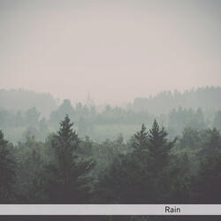 Rain Sounds And Sounds of Nature