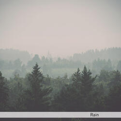 Rain Sounds