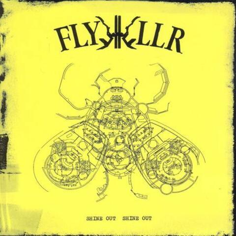 Flykkiller