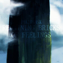 Remaining Bricks of Feelings