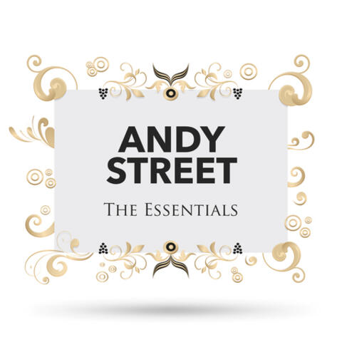 Andy Street - The Essentials