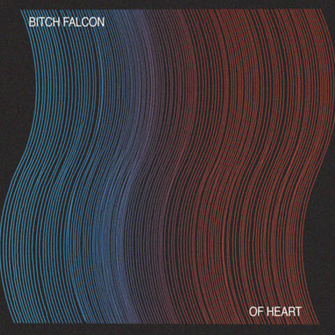 Bitch Falcon