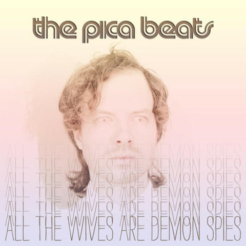 All The Wives Are Demon Spies