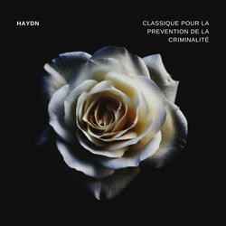 Cassation in F Major, Hob. IIf/2: IV. Menuetto