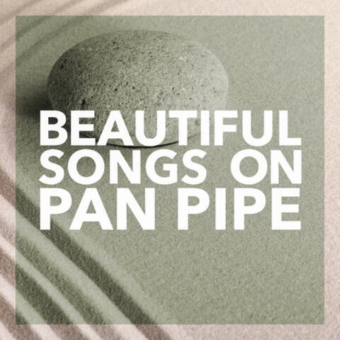 Beautiful Songs on Pan Pipe