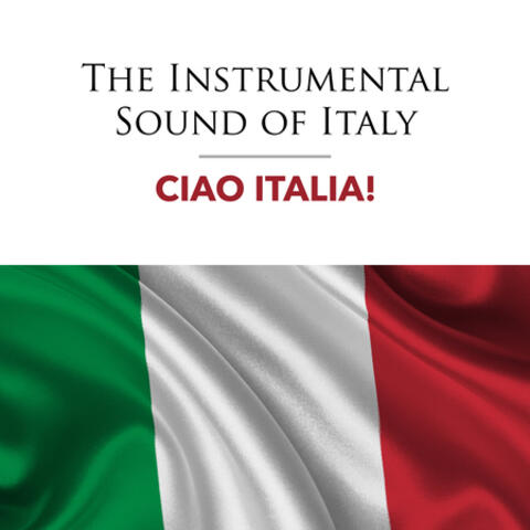 The Instrumental Sound of Italy