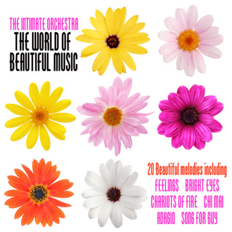 The World Of Beautiful Music