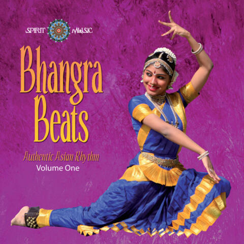 Bhangra Beats, Vol 1