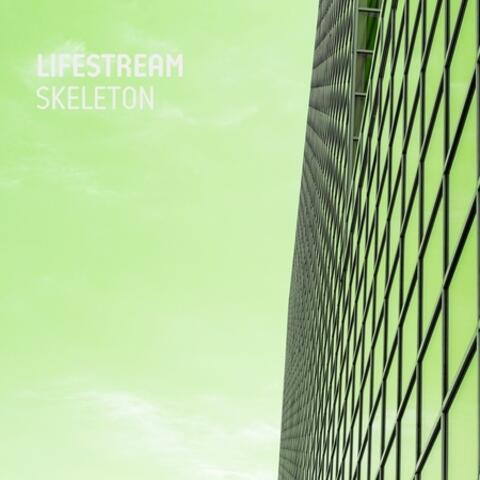 Skeleton