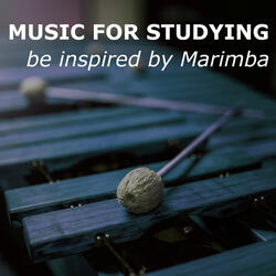 Rhythm for studying