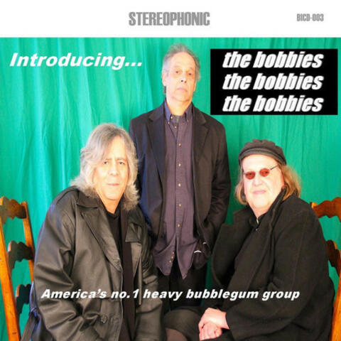 Introducing...The Bobbies