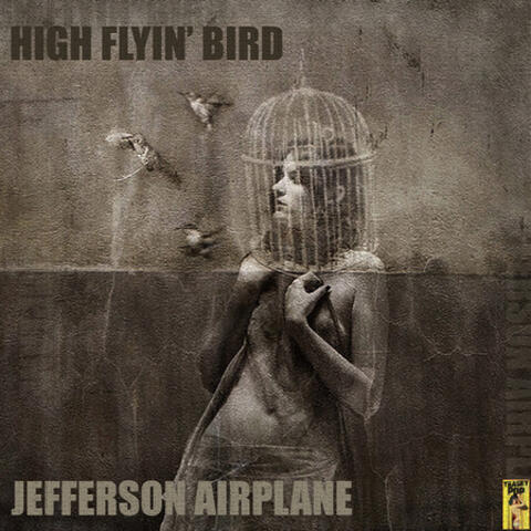 High Flyin' Bird