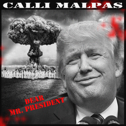 Dear Mr. President