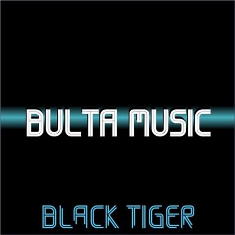 Bulta Music V