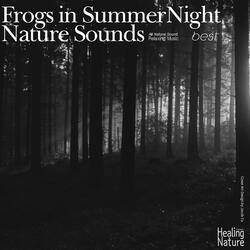 Frogs in Summer Night Nature Sounds, Pt. 8