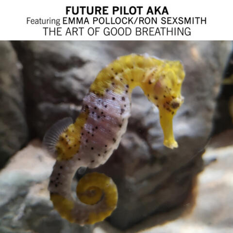 The Art Of Good Breathing