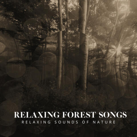 Relaxing Forest Songs