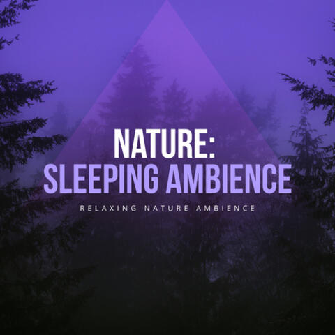 Nature: Sleeping Ambience