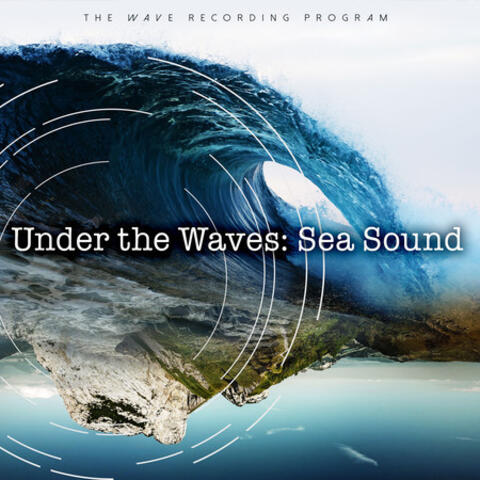 Under the Waves: Sea Sound