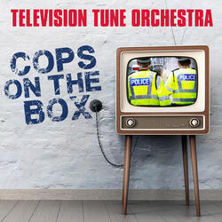 T.V. Theme From "The Fugitive"