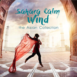 Sipping in the Patio