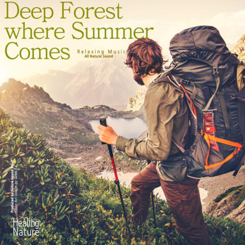 Deep Forest Where Summer Comes (Relaxation, Relaxing Muisc, White Noise, Insomnia, Deep Sleep, Meditation, Concentration, Lullaby, Prenatal Care, Healing, Memorization, Yoga, Spa)