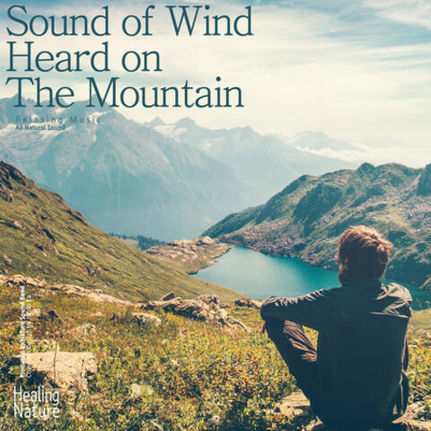 Sound of Wind Heard on the Mountain (Relaxation, Relaxing Muisc, White Noise, Insomnia, Deep Sleep, Meditation, Concentration, Lullaby, Prenatal Care, Healing, Memorization, Yoga, Spa)