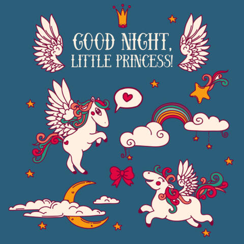Good Night Little Princess!