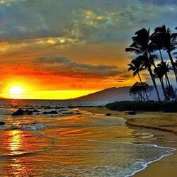 Paradise