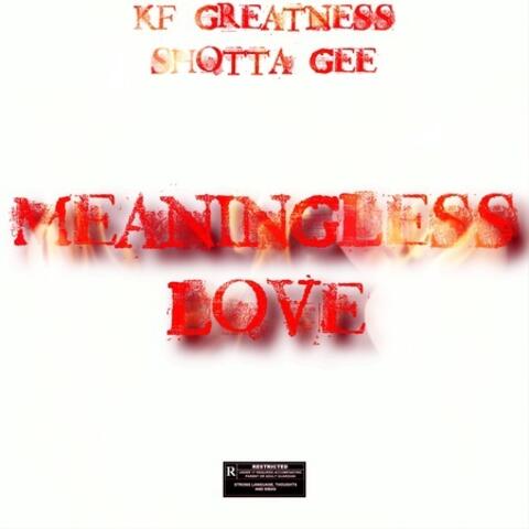 Meaningless Love