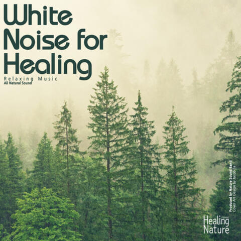 White Noise for Healing (Relaxation, Relaxing Muisc, White Noise, Insomnia, Deep Sleep, Meditation, Concentration, Lullaby, Prenatal Care, Healing, Memorization, Yoga, Spa)