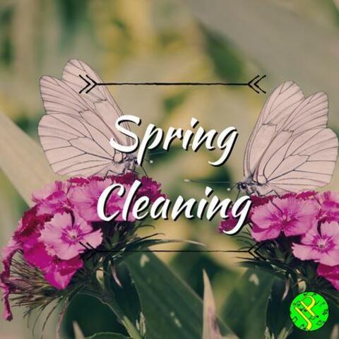 Spring Cleaning