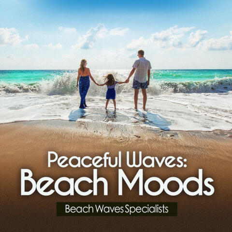Peaceful Waves: Beach Moods