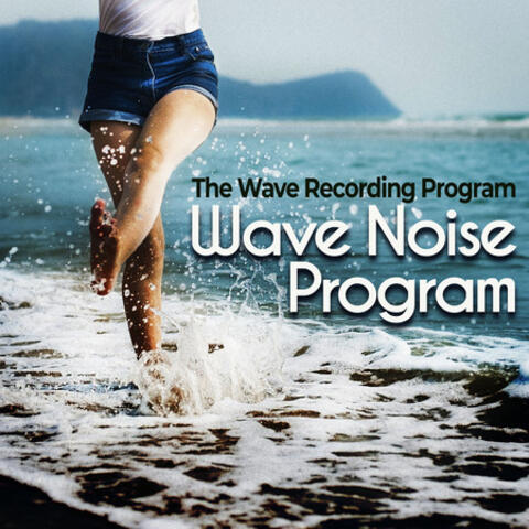 Wave Noise Program