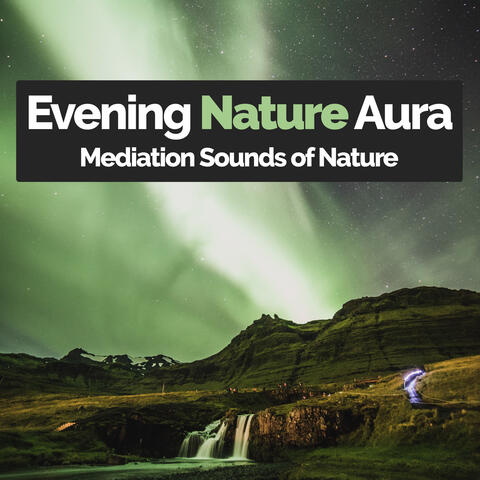 Evening Nature Aura