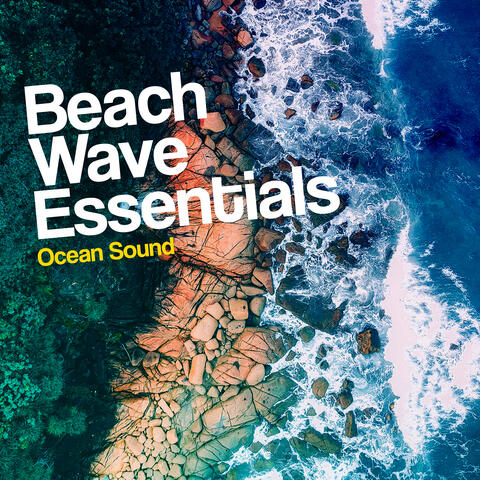 Beach Wave Essentials