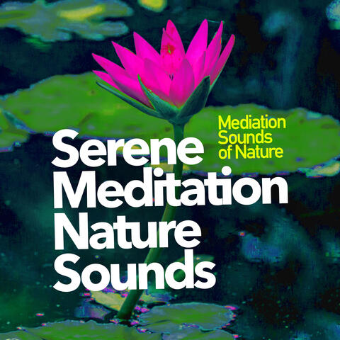 Serene Meditation Nature Sounds