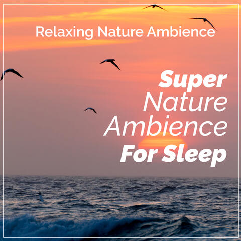 Super Nature Ambience: For Sleep