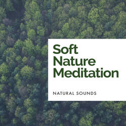 Treetop Mantras