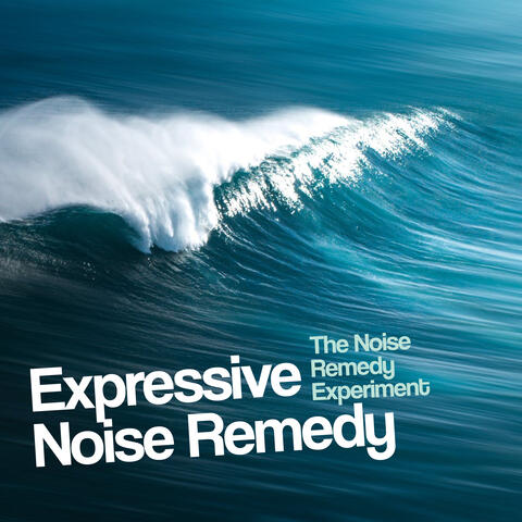 Expressive Noise Remedy