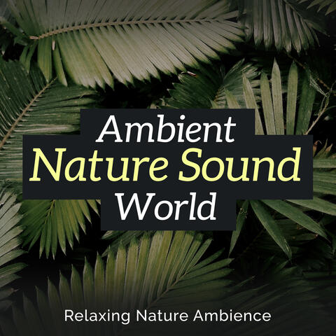 Ambient Nature Sound World