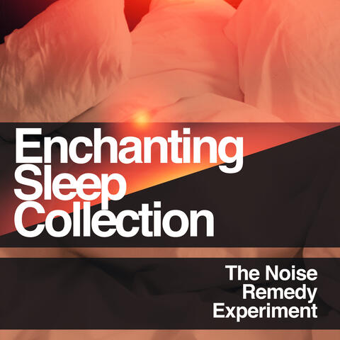 Enchanting Sleep Collection