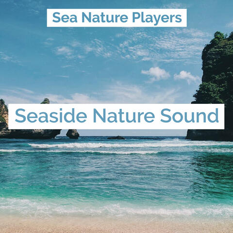 Seaside Nature Sound